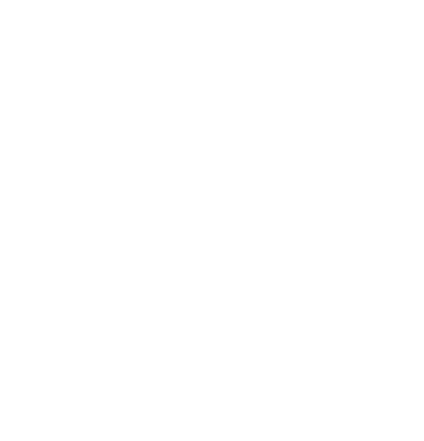 Hydra Team logo